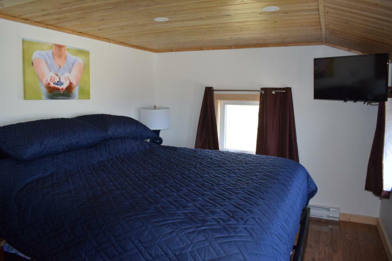 Bird Island B&B Bed And Bubble Elliston ภายนอก รูปภาพ