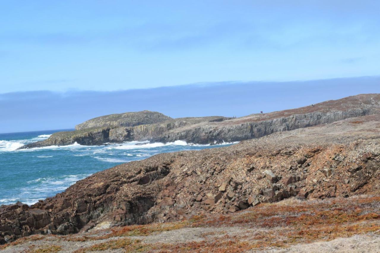 Bird Island B&B Bed And Bubble Elliston ภายนอก รูปภาพ
